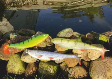 Quantum Yolo Rainbow Trout 30cm 122g - Pike Shad