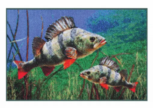 Teppich mit Fisch Motiv Barsch, eine schöne Geschenk Idee!