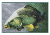 Teppich mit Fisch Motiv Karpfen, eine schöne Geschenk Idee!